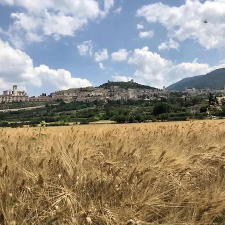 Mavitur בית הארחה 2*